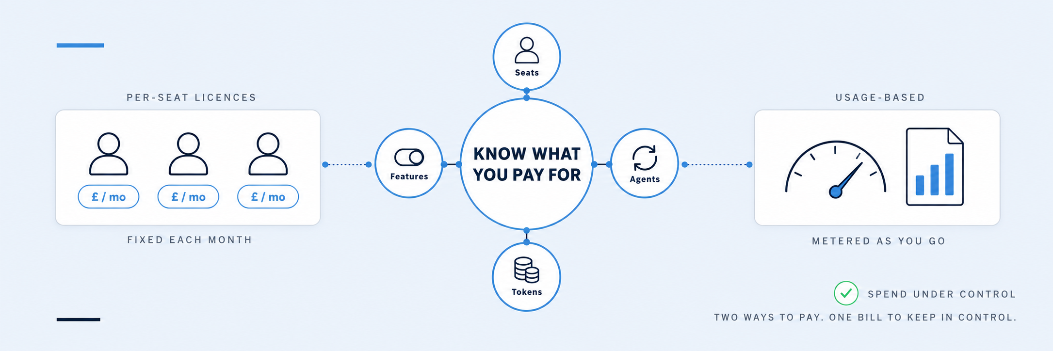 Diagram of what AI costs a business: per-seat licences fixed each month on the left, usage-based pricing metered as you go on the right, and a central ring reading know what you pay for, surrounded by seats, features, agents and tokens.
