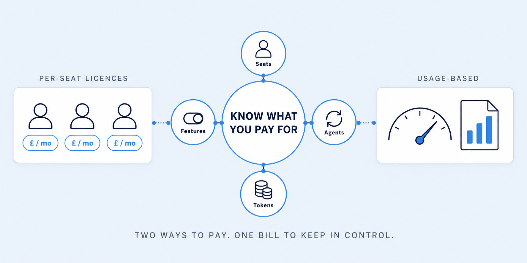Diagram of what AI costs a business: per-seat licences fixed each month on the left, usage-based pricing metered as you go on the right, and a central ring reading know what you pay for, surrounded by seats, features, agents and tokens.